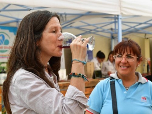 IMG_20250517_122129_620